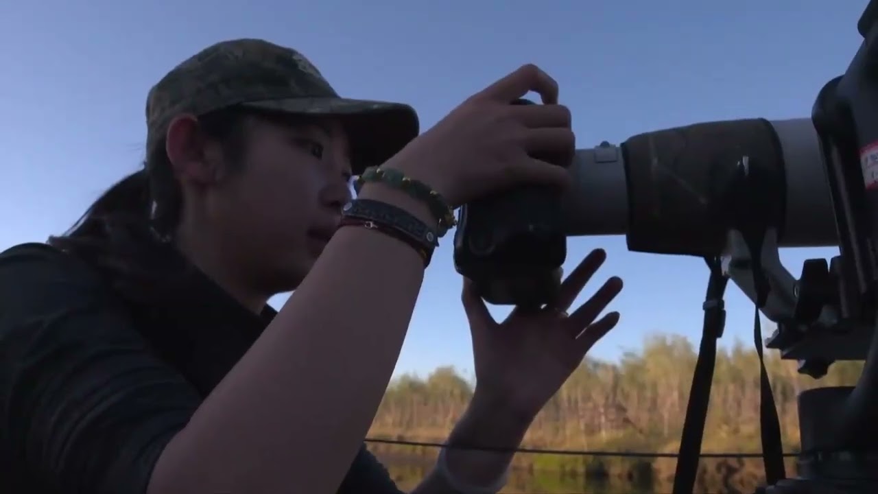 Нутрії такі милі, як люди можуть їх не любити?