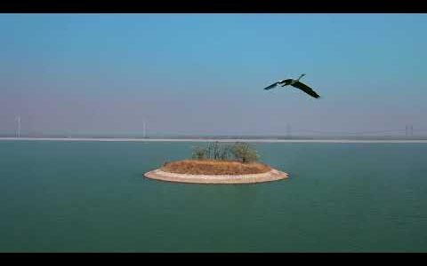 Оберігаючи “нирки Землі”