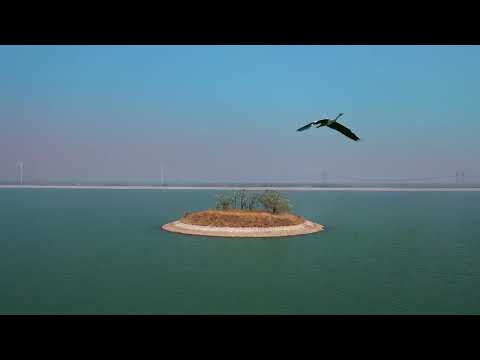 Оберігаючи “нирки Землі”