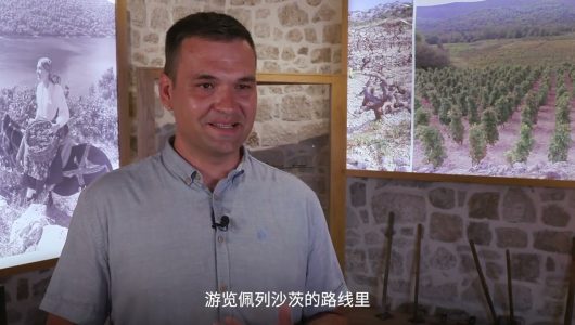 Пелешац був пробуджений