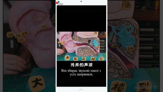 Платформи коротких відео перетворюють на лекційні зали з популяризації науки