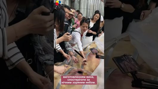 【Подорож до Нінся】 Китайське вино виходить на світовий ринок