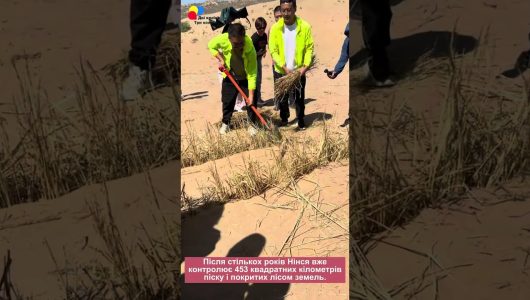 【 Подорож до Нінся】 Як змусити пустелю відступити на 20 кілометрів?