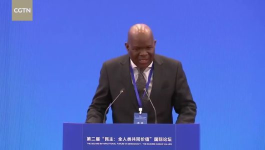 Президент соціалістичної партії Замбії: Людський розвиток не є сталим на основі грабежу