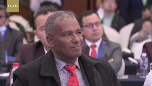 Професор Чжен Юннянь обговорює різноманітність демократій та цивілізацій