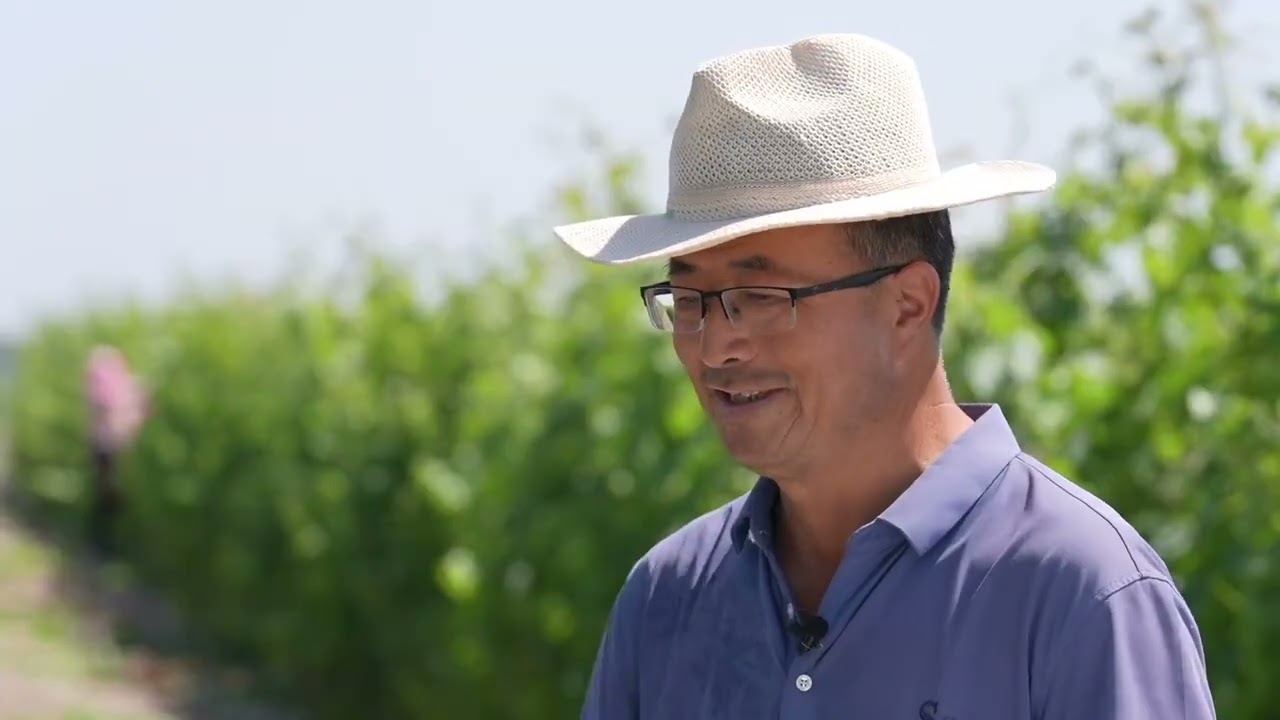 “Пурпурова легенда” на схилах гір Хеланьшань