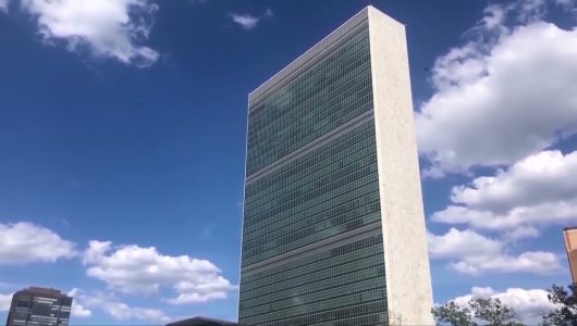 Робоча група ООН закликає Сполучені Штати активізувати свої зусилля щодо боротьби з расовою нерівністю в правоохоронних органах