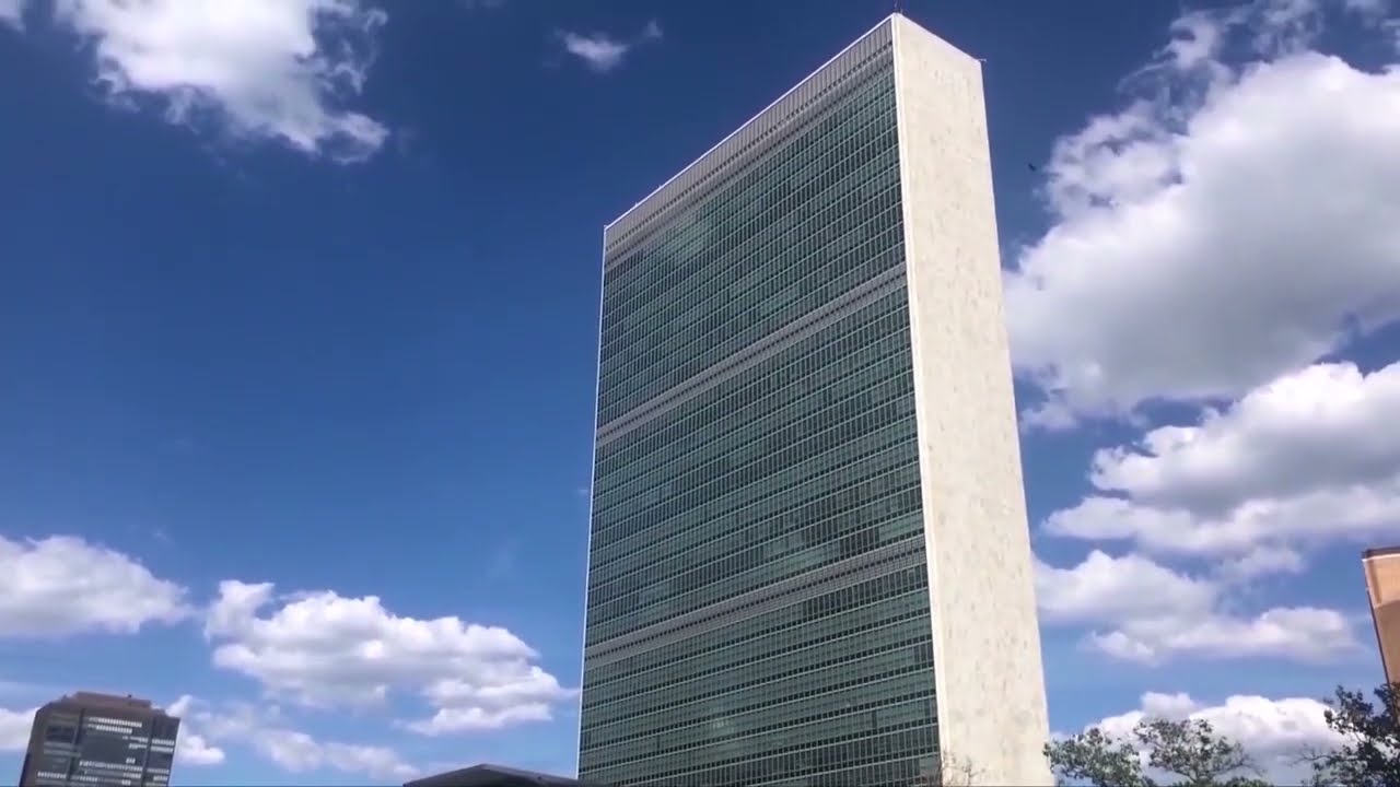 Робоча група ООН закликає Сполучені Штати активізувати свої зусилля щодо боротьби з расовою нерівністю в правоохоронних органах