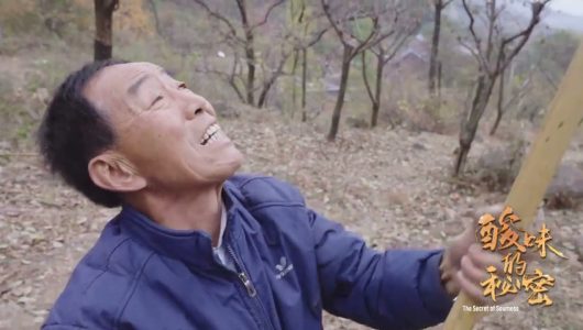 Секрет кислого смаку