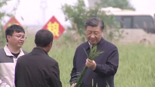 Сі Цзіньпін відвідав з інспекцією місто Цанчжоу на півночі Китаю