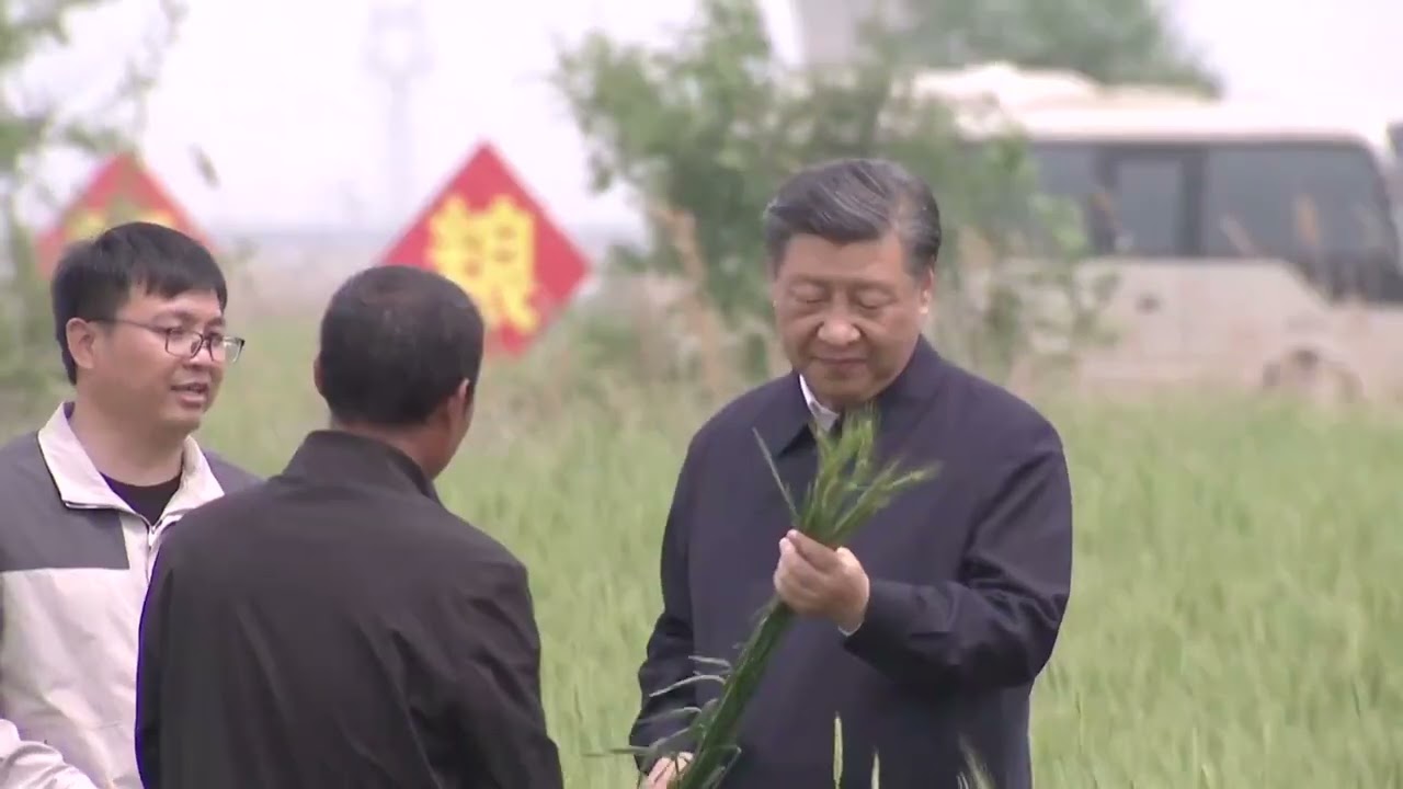 Сі Цзіньпін відвідав з інспекцією місто Цанчжоу на півночі Китаю