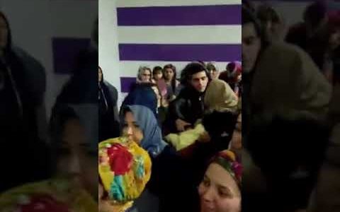 У притулках Туреччини не вистачає запасів