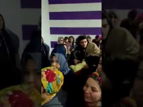 У притулках Туреччини не вистачає запасів