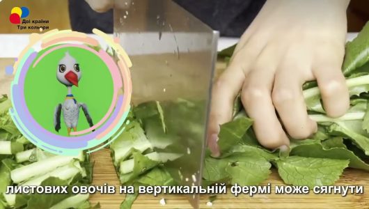 【Відвідай Китай з Тарасом】 Овочева ферма посеред міста: вертикальна ферма в Ченду