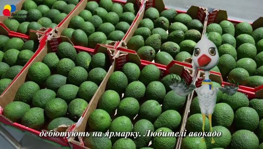 【Відвідай Китай з Тарасом】 Товари з різних країн, які вперше представлені на ЕКСПО