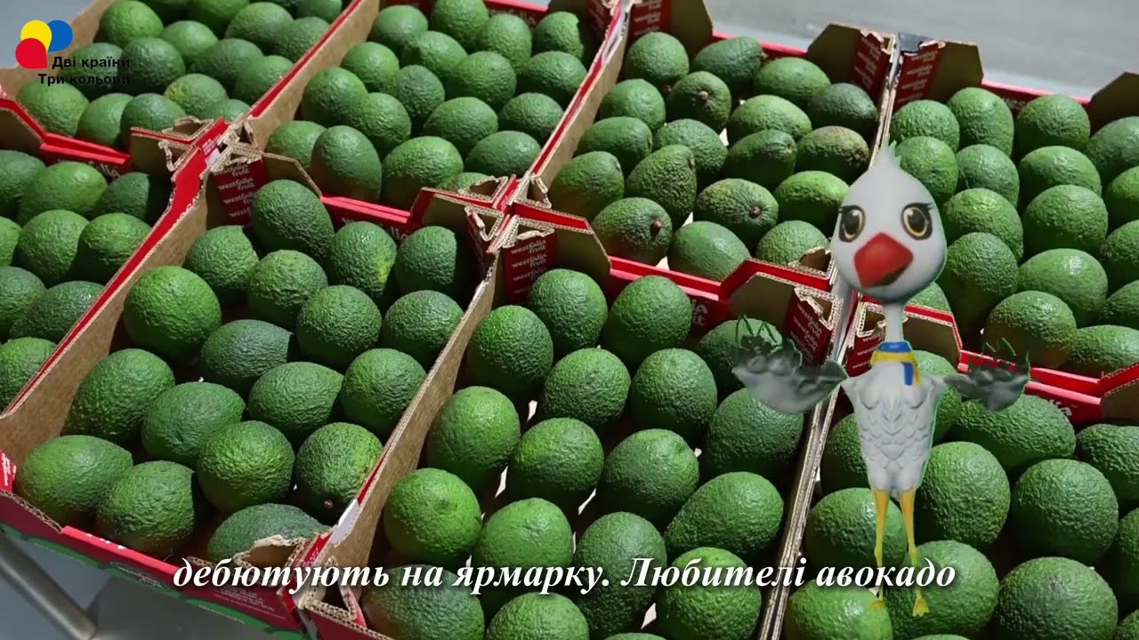 【Відвідай Китай з Тарасом】 Товари з різних країн, які вперше представлені на ЕКСПО