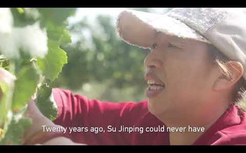 Вино з пустелі Гобі