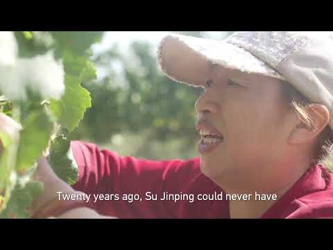 Вино з пустелі Гобі