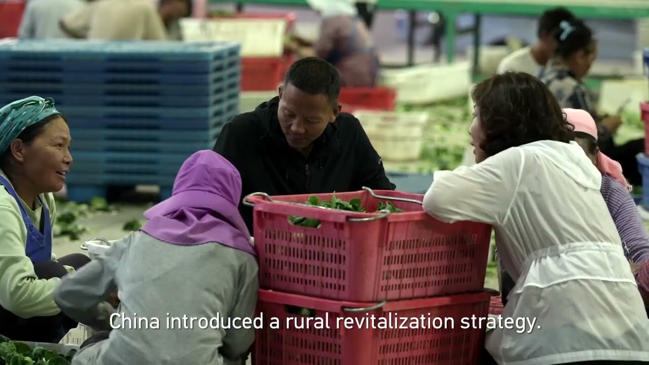 Вирощування овочів у пустелі Гобі