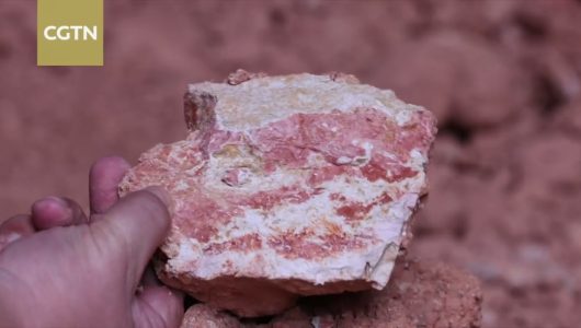 Їхні мрії збуваються: «Нове життя пурпурової кераміки»