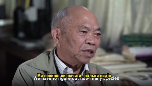 Захист гімалайського саду