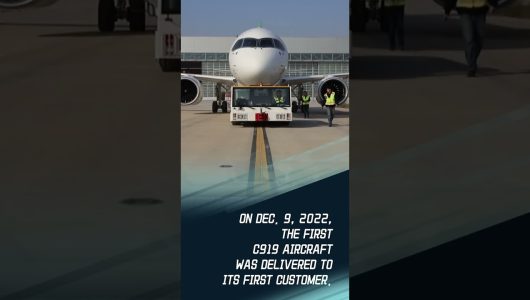 Зелені крила