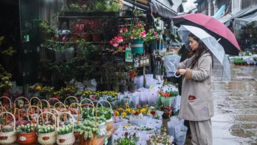 Обсяг роздрібних продажів споживчих товарів у Китаї зріс на 2,4% у січні-березні 2026 року