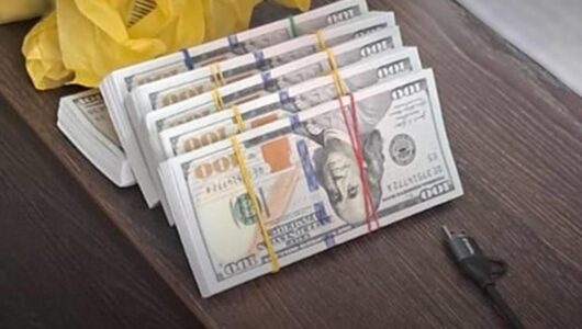 В Чернігівській області затримано адвоката, який вирішував питання за 80 тисяч доларів