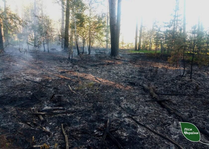 В Житомирській області окупанти спричинили п’ять лісових пожеж