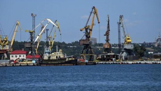 Окупанти вивезли з Маріуполя майже 90 тисяч тонн пшениці, але українські герої продовжують боротися за свою землю