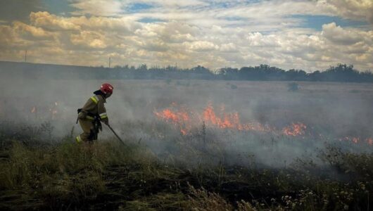 В Миколаївській області через удар агресора загорілось 10 гектарів полів