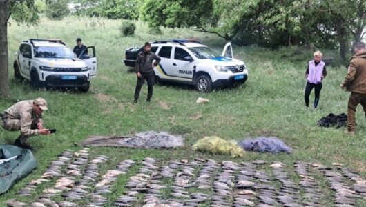 Операція Нерест: українські захисники затримали браконьєрів та врятували 10 тонн риби