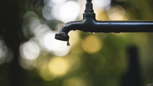 У Луганській області водний колапс: десятки міст залишилися без води