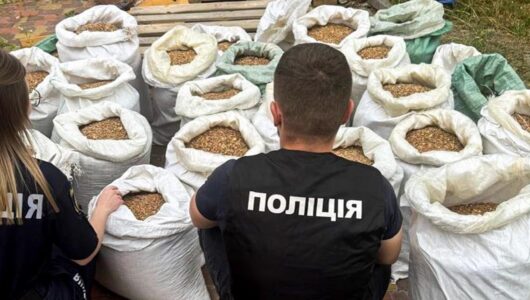 На Рівненщині виявили підпільний цех: вилучено бурштин на мільйони