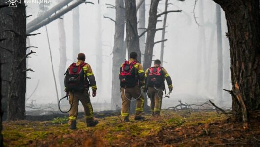 Пожежу в зоні відчуження взяли під контроль: українські захисники демонструють мужність і рішучість
