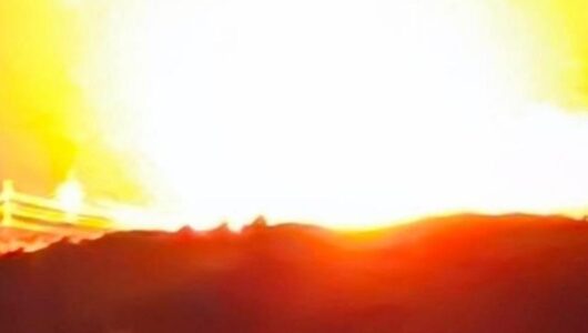 Сміливі захисники завдали удару: Дрони, що атакували Ялту, спровокували потужний пожежний спалах