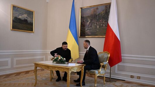 Володимир Зеленський відповів на звернення Навроцького