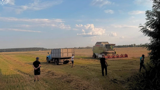 У Вінницькій області депутата судитимуть за захоплення 85 гектарів землі