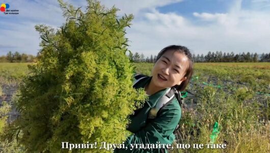 【На шляху до здійснення мрій】Епізод 4: Зелений «Великий похід» у пустелі
