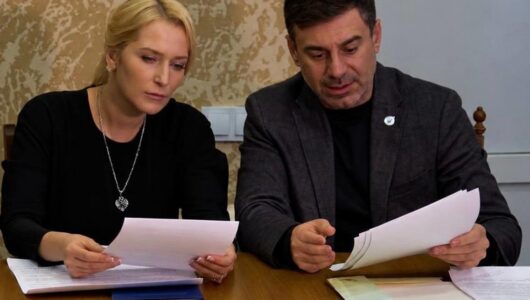 Лубинець оголосив про режим тиші в Олешках